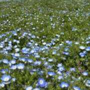 ヒメ日記 2025/05/22 05:32 投稿 ひな・SP アニバーサリー