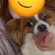 ヒメ日記 2026/03/08 08:04 投稿 ひな・SP アニバーサリー