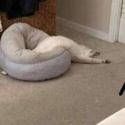 ヒメ日記 2024/12/12 12:46 投稿 木実さな 皇帝別館（こうていべっかん）