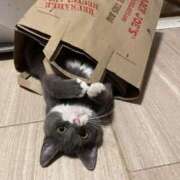 ヒメ日記 2024/12/13 11:46 投稿 木実さな 皇帝別館（こうていべっかん）