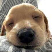 ヒメ日記 2024/12/13 13:27 投稿 木実さな 皇帝別館（こうていべっかん）