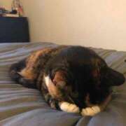 ヒメ日記 2024/12/14 23:36 投稿 木実さな 皇帝別館（こうていべっかん）