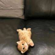 ヒメ日記 2024/12/25 21:46 投稿 木実さな 皇帝別館（こうていべっかん）