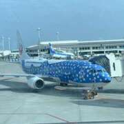 ヒメ日記 2025/12/31 20:18 投稿 みこ コレクション