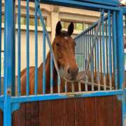 ヒメ日記 2025/05/17 00:26 投稿 ひな 制服これくしょん