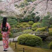 ヒメ日記 2025/03/11 17:24 投稿 秋華(しゅうか) TRYST