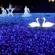 ヒメ日記 2025/12/24 13:00 投稿 みこ ストロベリーハウス