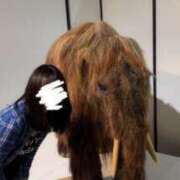 ヒメ日記 2026/05/07 07:20 投稿 みこ ストロベリーハウス