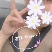 ヒメ日記 2025/04/12 15:19 投稿 ひろか チェックイン素人専門大人女子