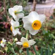 鈴　すず お久しぶりです☺️ 本庄人妻城