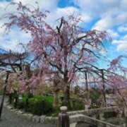 ヒメ日記 2026/04/11 18:14 投稿 鈴　すず 本庄人妻城