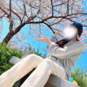 ヒメ日記 2025/04/06 19:01 投稿 あいら スパーク梅田店