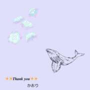 ヒメ日記 2025/02/21 17:02 投稿 かおり 出会い系人妻ネットワーク 上野〜大塚編