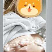 ヒメ日記 2025/03/21 00:13 投稿 かおり 出会い系人妻ネットワーク 上野〜大塚編