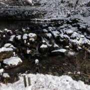 ヒメ日記 2025/02/20 10:00 投稿 ふうこ 熟女家 十三店