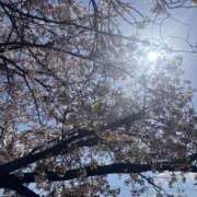 ふうこ こんにちは😊 熟女家 十三店