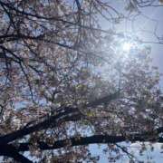 ヒメ日記 2026/04/14 09:15 投稿 ふうこ 熟女家 十三店