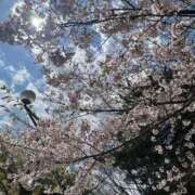 ヒメ日記 2026/05/03 12:04 投稿 さな SOAPLAND LOVE FACTORY