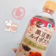 ヒメ日記 2024/12/11 18:20 投稿 ふうこ 手こき＆オナクラ 大阪はまちゃん