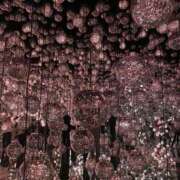 ヒメ日記 2025/04/24 17:35 投稿 ゆのん スパーク日本橋