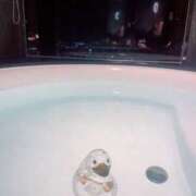 ヒメ日記 2025/08/06 12:05 投稿 ゆのん スパーク日本橋