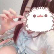 ヒメ日記 2026/05/13 10:48 投稿 ちい アイドルチェッキーナ本店