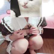 ヒメ日記 2026/09/30 10:47 投稿 ちい アイドルチェッキーナ本店