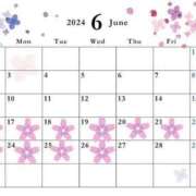 ヒメ日記 2025/06/03 16:06 投稿 あめ 熟女の風俗最終章 仙台店