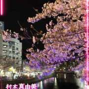 ヒメ日記 2025/04/08 17:02 投稿 村木真由美 五十路マダムエクスプレス横浜店（カサブランカグループ）