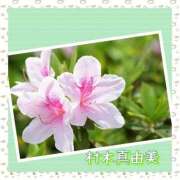 村木真由美 GWの予定 五十路マダムエクスプレス横浜店（カサブランカグループ）