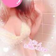 ヒメ日記 2024/12/12 09:55 投稿 和田かんな セレブショップ新宿（東京ハレ系）