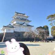 ヒメ日記 2025/03/10 19:21 投稿 和田かんな セレブショップ新宿（東京ハレ系）