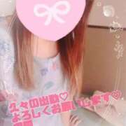 ヒメ日記 2025/07/30 08:56 投稿 和田かんな セレブショップ新宿（東京ハレ系）