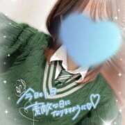 ヒメ日記 2025/02/12 13:43 投稿 せりな ビデオdeはんど 横浜校