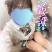 ヒメ日記 2025/07/02 17:43 投稿 せりな ビデオdeはんど 横浜校