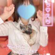 ヒメ日記 2026/05/01 15:20 投稿 せりな ビデオdeはんど 横浜校