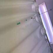 ヒメ日記 2025/10/03 19:10 投稿 てん ソープランド AQUA（アクア）