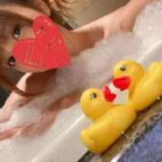 ヒメ日記 2024/12/15 01:21 投稿 こう 西船人妻花壇