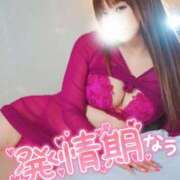 ヒメ日記 2025/07/20 15:54 投稿 こう 西船人妻花壇