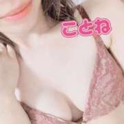 ヒメ日記 2024/12/23 11:18 投稿 コトネ 【福岡デリヘル】20代・30代★博多で評判のお店はココです！