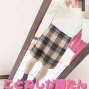 ヒメ日記 2024/12/25 12:09 投稿 コトネ 【福岡デリヘル】20代・30代★博多で評判のお店はココです！