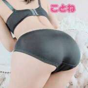 ヒメ日記 2025/01/17 14:45 投稿 コトネ 【福岡デリヘル】20代・30代★博多で評判のお店はココです！