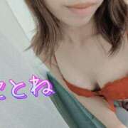 ヒメ日記 2025/02/18 12:15 投稿 コトネ 【福岡デリヘル】20代・30代★博多で評判のお店はココです！