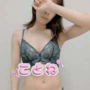 ヒメ日記 2025/03/11 16:30 投稿 コトネ 【福岡デリヘル】20代・30代★博多で評判のお店はココです！