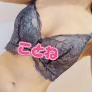 ヒメ日記 2025/03/16 00:01 投稿 コトネ 【福岡デリヘル】20代・30代★博多で評判のお店はココです！