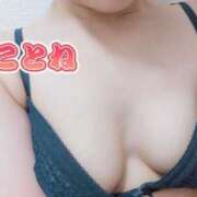 ヒメ日記 2025/03/27 15:45 投稿 コトネ 【福岡デリヘル】20代・30代★博多で評判のお店はココです！