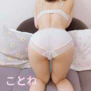 ヒメ日記 2025/04/30 07:01 投稿 コトネ 【福岡デリヘル】20代・30代★博多で評判のお店はココです！