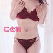 ヒメ日記 2025/06/29 19:30 投稿 コトネ 【福岡デリヘル】20代・30代★博多で評判のお店はココです！