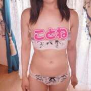 ヒメ日記 2025/07/07 19:30 投稿 コトネ 【福岡デリヘル】20代・30代★博多で評判のお店はココです！