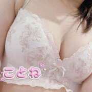 ヒメ日記 2025/07/15 12:45 投稿 コトネ 【福岡デリヘル】20代・30代★博多で評判のお店はココです！